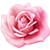 icon-rose